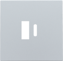 Afwerkingsset voor dubbele smart USB-A- en USB-C-lader, sterling coated