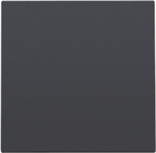 Spuitwaterdichte blindplaat, anthracite coated