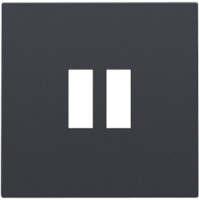 Afwerkingsset voor dubbele USB-A-lader, anthracite coated