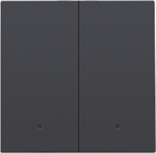 Afwerkingsset met lens voor dubbele elektronische schakelaar of drukknop, anthracite coated
