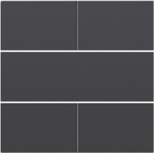 Afwerkingsset voor 4-voudige potentiaalvrije drukknop 24 V, anthracite coated