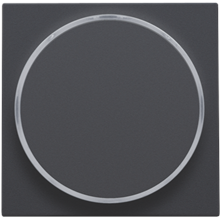 Afwerkingsset met doorschijnende ring zonder symbool voor drukknop 6 A met amberkleurige led met E10-lampvoet, anthracite coated
