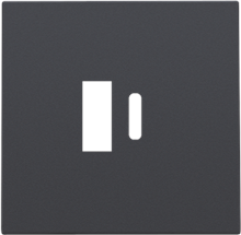 Afwerkingsset voor dubbele smart USB-A- en USB-C-lader, anthracite coated