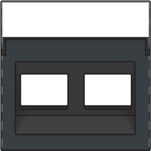Centraalplaat data 2x RJ schuine uitgang, anthracite coated