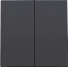 Afwerkingsset voor dubbele elektronische schakelaar of drukknop, anthracite coated