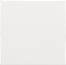 Blindplaat, white coated