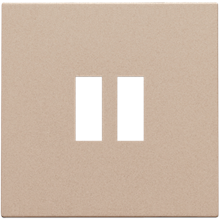 Afwerkingsset voor dubbele USB-A-lader, champagne coated