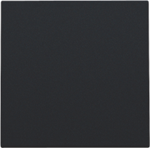 Spuitwaterdichte blindplaat, black coated