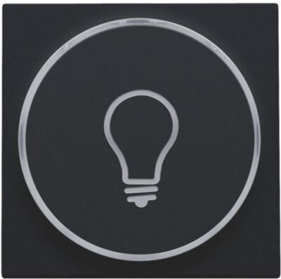 Afwerkingsset met doorschijnende ring met lampsymbool voor drukknop 6A met amberkleurige led met E10-lampvoet, black coated