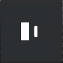 Afwerkingsset voor dubbele smart USB-A- en USB-C-lader, black coated