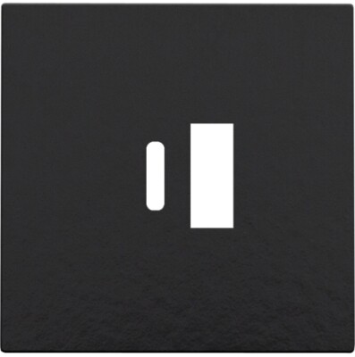 Afwerkingsset voor dubbele smart USB-A- en USB-C-lader, piano black coated