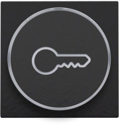 Afwerkingsset met doorschijnende ring met sleutelsymbool voor drukknop 6A met amberkleurige led met E10-lampvoet, piano black coated