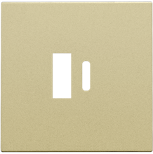 Afwerkingsset voor dubbele smart USB-A- en USB-C-lader, gold coated