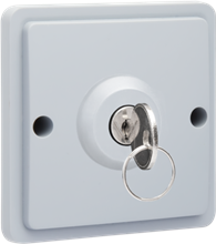 Spuitwaterdichte (hydro) sleutelschakelaar 10 A met schroefklemmen, exclusief opbouwdoos, grey