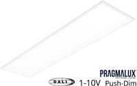 Elara LED Paneel 30x120cm Easy 38W 4000K 4100lm +Universele Driver (DALI2, 1-10V, Push-dim) (2x28W)