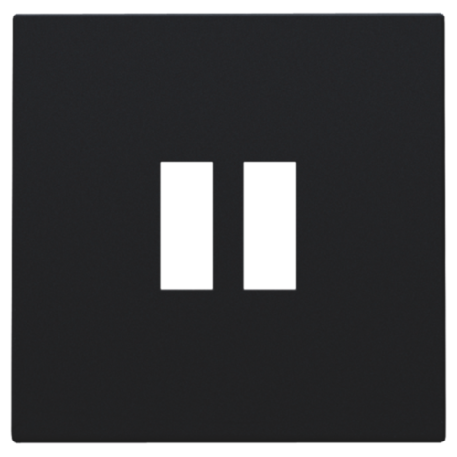 Afwerkingsset voor dubbele USB-A-lader, black coated