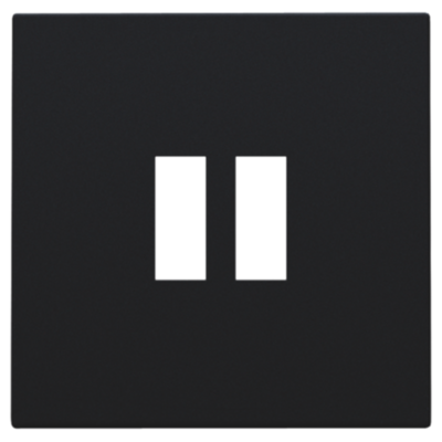 Afwerkingsset voor dubbele USB-A-lader, black coated