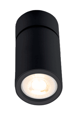 Opbouwspot Sterre Rond Kantelbaar Zwart - Incl. GU10 Fitting