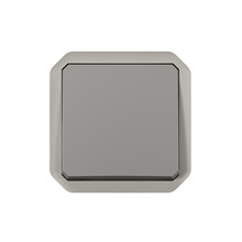 Legrand - Plexo 2P Schak Verlicht. Zndr Lamp Mecha. Ip55 Ik08 Grijs