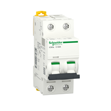 SCHNEIDER - Automaat Ic60A 2P 63A C