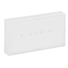 LEGRAND - Ura One NP/P-200lm 1h IP42 autotest/adresseerbaar