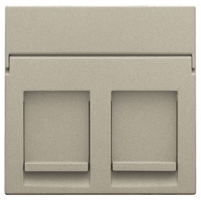 Centraalplaat data 2x RJ, champagne coated