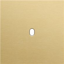 Enkelvoudige afdekplaat, voor enkelvoudige schakelfuncties, Niko Toggle alu gold brushed