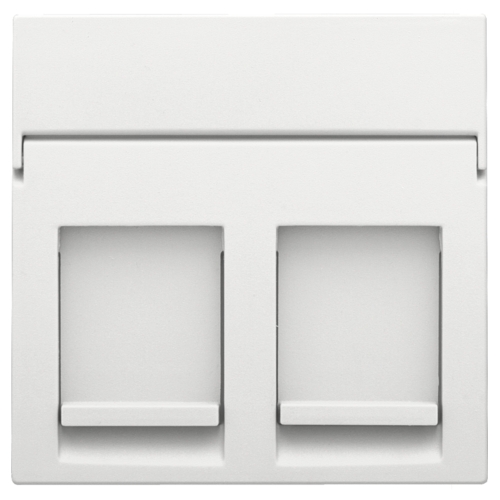 Centraalplaat data 2x RJ, white coated
