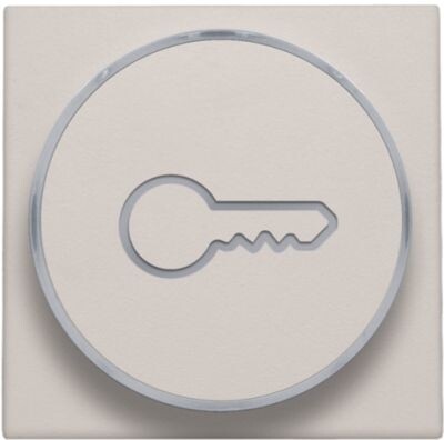 Afwerkingsset met doorschijnende ring met sleutelsymbool voor drukknop 6A met amberkleurige led met E10-lampvoet, light grey