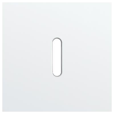 Enkelvoudige afdekplaat, voor enkelvoudige schakelfuncties, Niko Rocker steel white coated