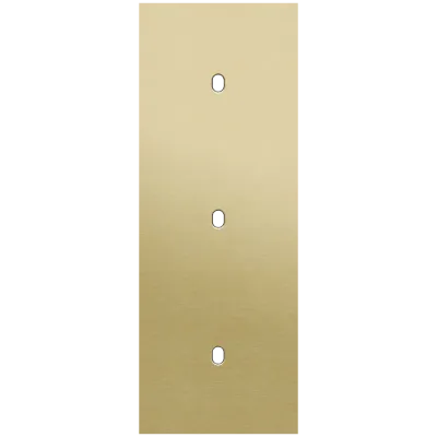 Drievoudige afdekplaat, verticaal 71 mm centerafstand, voor drie enkelvoudige schakelfuncties, Niko Toggle alu gold brushed Drievoudige afdekplaat, verticaal 71 mm centerafstand, voor drie enkelvoudige schakelfuncties, Niko Toggle alu gold brushed