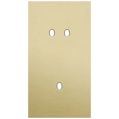 Tweevoudige afdekplaat, verticaal 71 mm centerafstand, voor een tweevoudige en een enkelvoudige schakelfunctie, Niko Toggle alu gold brushed Tweevoudige afdekplaat, verticaal 71 mm centerafstand, voor een tweevoudige en een enkelvoudige schakelfunctie, Niko Toggle alu gold brushed