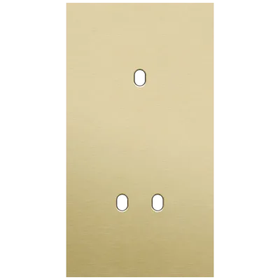Tweevoudige afdekplaat, verticaal 71 mm centerafstand, voor een enkelvoudige en een tweevoudige schakelfunctie, Niko Toggle alu gold brushed Tweevoudige afdekplaat, verticaal 71 mm centerafstand, voor een enkelvoudige en een tweevoudige schakelfunctie, Niko Toggle alu gold brushed