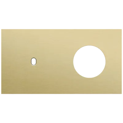 Tweevoudige afdekplaat, horizontaal 71 mm centerafstand, voor een enkelvoudige schakelfunctie en een stopcontact, Niko Toggle alu gold brushed Tweevoudige afdekplaat, horizontaal 71 mm centerafstand, voor een enkelvoudige schakelfunctie en een stopcontact, Niko Toggle alu gold brushed