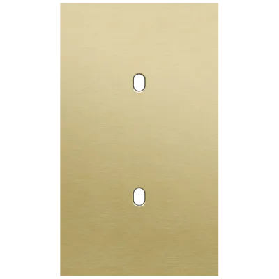 Tweevoudige afdekplaat, verticaal 60 mm centerafstand, voor twee enkelvoudige schakelfuncties, Niko Toggle alu gold brushed Tweevoudige afdekplaat, verticaal 60 mm centerafstand, voor twee enkelvoudige schakelfuncties, Niko Toggle alu gold brushed
