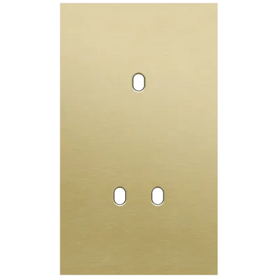 Tweevoudige afdekplaat, verticaal 60 mm centerafstand, voor een enkelvoudige en een tweevoudige schakelfunctie, Niko Toggle alu gold brushed Tweevoudige afdekplaat, verticaal 60 mm centerafstand, voor een enkelvoudige en een tweevoudige schakelfunctie, Niko Toggle alu gold brushed