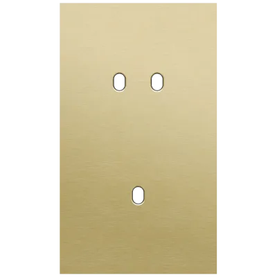 Tweevoudige afdekplaat, verticaal 60 mm centerafstand, voor een tweevoudige en een enkelvoudige schakelfunctie, Niko Toggle alu gold brushed Tweevoudige afdekplaat, verticaal 60 mm centerafstand, voor een tweevoudige en een enkelvoudige schakelfunctie, Niko Toggle alu gold brushed