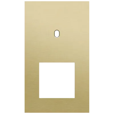 Tweevoudige afdekplaat, verticaal 60 mm centerafstand, voor een enkelvoudige schakelfunctie en een 45 x 45 mm functie, Niko Toggle alu gold brushed Tweevoudige afdekplaat, verticaal 60 mm centerafstand, voor een enkelvoudige schakelfunctie en een 45 x 45 mm functie, Niko Toggle alu gold brushed