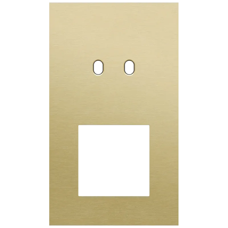 Tweevoudige afdekplaat, verticaal 60 mm centerafstand, voor een tweevoudige schakelfunctie en een 45 x 45 mm functie, Niko Toggle alu gold brushed