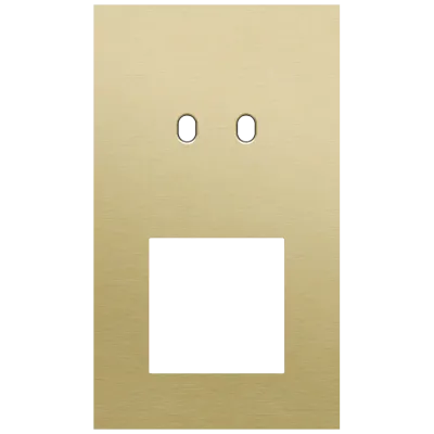 Tweevoudige afdekplaat, verticaal 60 mm centerafstand, voor een tweevoudige schakelfunctie en een 45 x 45 mm functie, Niko Toggle alu gold brushed Tweevoudige afdekplaat, verticaal 60 mm centerafstand, voor een tweevoudige schakelfunctie en een 45 x 45 mm functie, Niko Toggle alu gold brushed