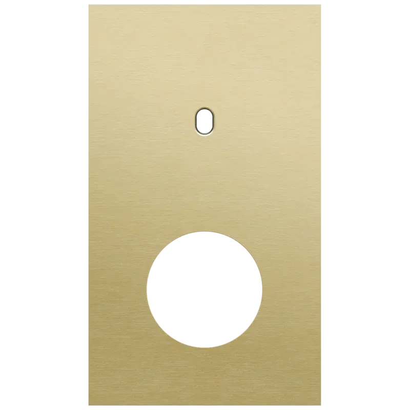 Tweevoudige afdekplaat, verticaal 60 mm centerafstand, voor een enkelvoudige schakelfunctie en een stopcontact, Niko Toggle alu gold brushed