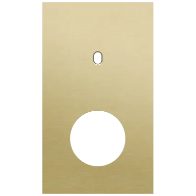 Tweevoudige afdekplaat, verticaal 60 mm centerafstand, voor een enkelvoudige schakelfunctie en een stopcontact, Niko Toggle alu gold brushed Tweevoudige afdekplaat, verticaal 60 mm centerafstand, voor een enkelvoudige schakelfunctie en een stopcontact, Niko Toggle alu gold brushed