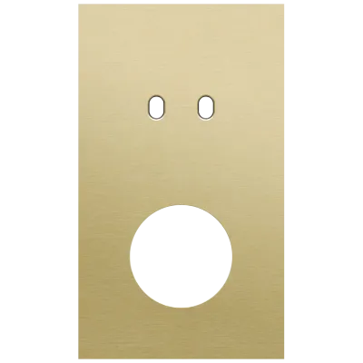 Tweevoudige afdekplaat, verticaal 60 mm centerafstand, voor een tweevoudige schakelfunctie en een stopcontact, Niko Toggle alu gold brushed Tweevoudige afdekplaat, verticaal 60 mm centerafstand, voor een tweevoudige schakelfunctie en een stopcontact, Niko Toggle alu gold brushed