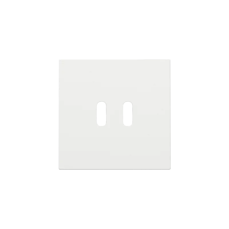 Afwerkingsset voor dubbele smart USB-C-lader, white coated