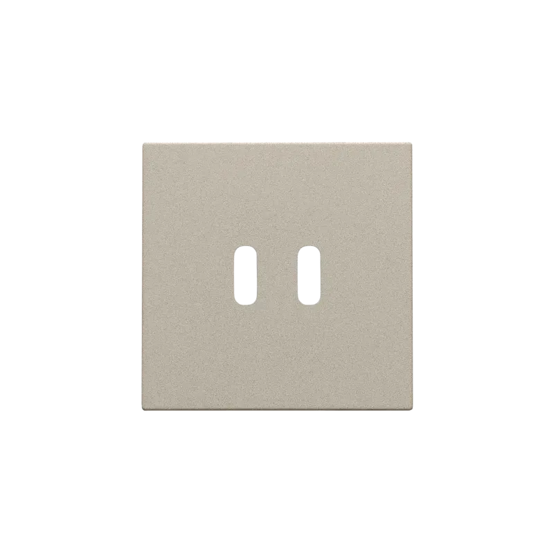 Afwerkingsset voor dubbele smart USB-C-lader, champagne coated