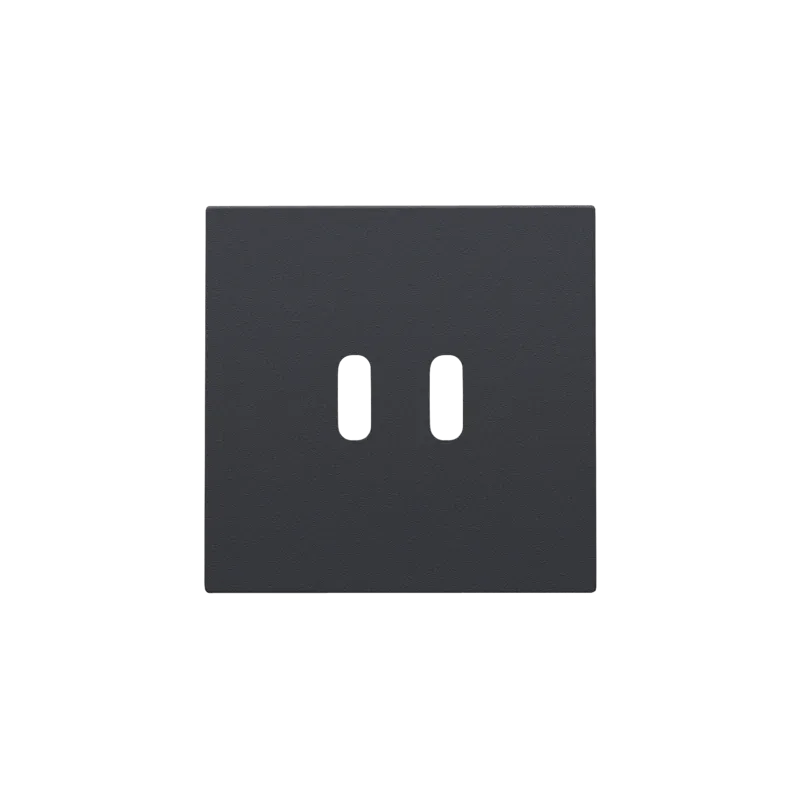 Afwerkingsset voor dubbele smart USB-C-lader, anthracite coated