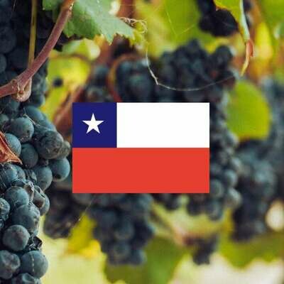 Chili