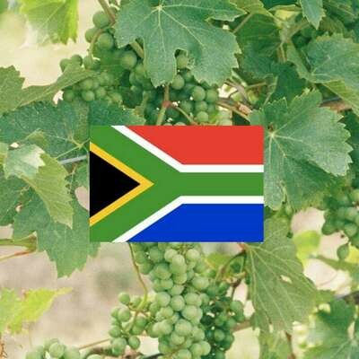 South-Africa