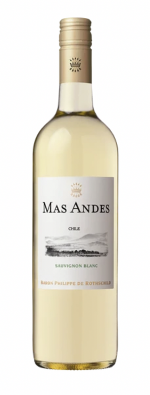 Mas Andes Sauvignon Blanc