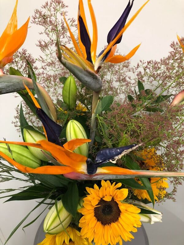Boeket strelitzia